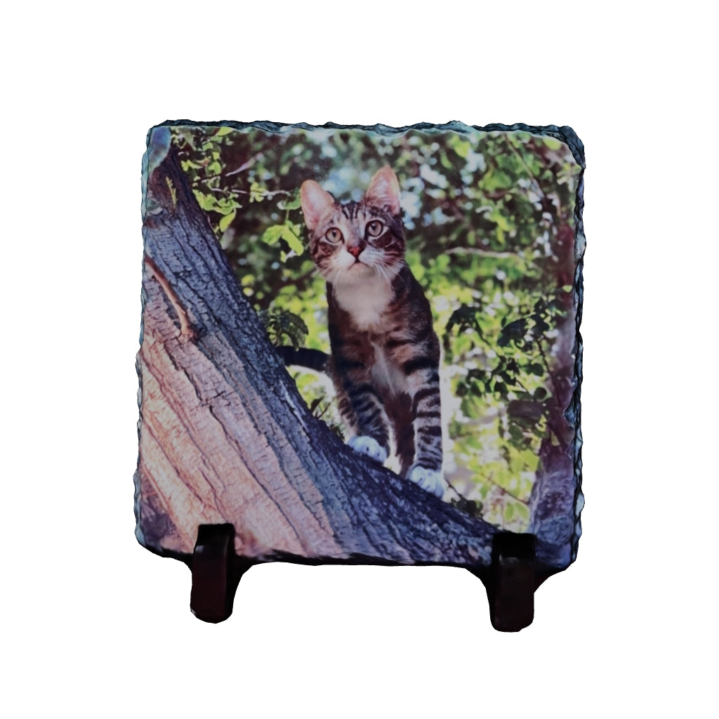 3D Model Square Slate