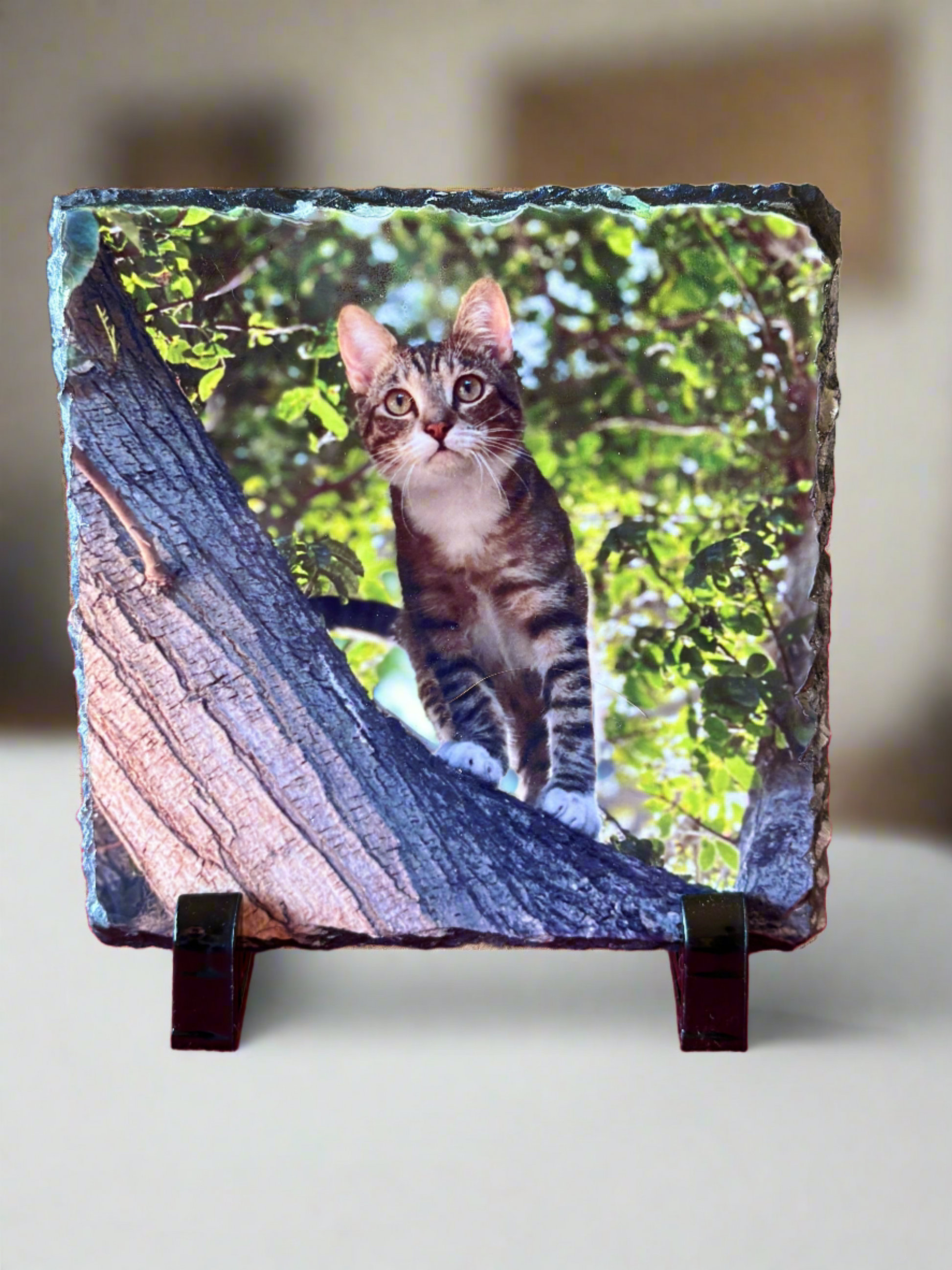 Square stone photo slate with cat picture.