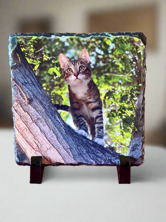 Square stone photo slate with cat picture. 